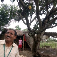 Vimlesh Kumar Pandey