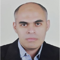Mohamed Allam