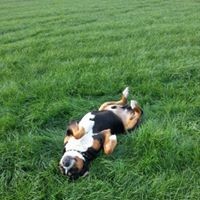 Anja Muster