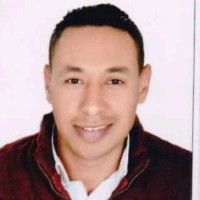 Hussein Abo Elmagd Hussein