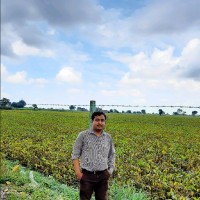 Sayed Mohammed Zeeshan