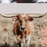 Madison Dodson