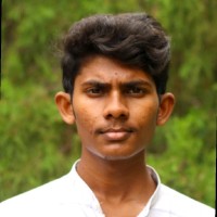 Nitheesh K