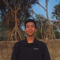 Ilham Hamidy