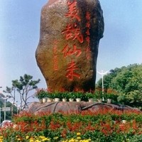钟鹏飞
