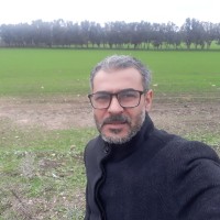 Fawzi Saladin