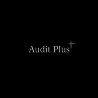 Audit Plus Danışmanlık
