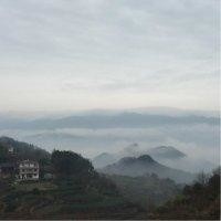 姚宇杰