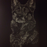 Sharron Wright