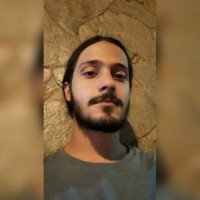 Gustavo Pavanin Martins