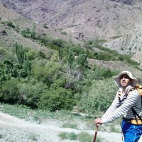 sajjad r