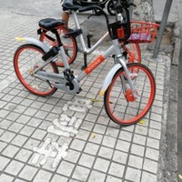 杨永兵