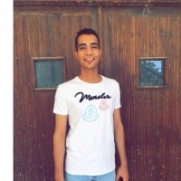 Alaa Abd El Ghany