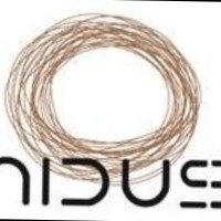 NIDUS ARS