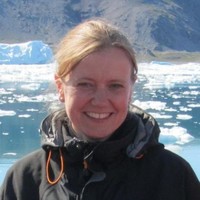 Heidi Bjerre