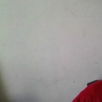 Ali Ahmed bacha