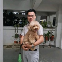 Victor Gan