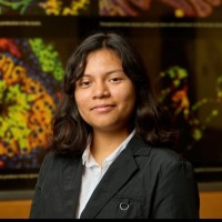Maritza Sanchez