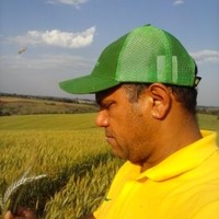 Miguel Severino Alve m.lsalves