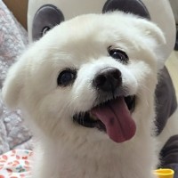 노재승