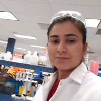 Jyoti Kattel