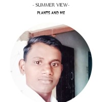 Anmol Kumar Kumar
