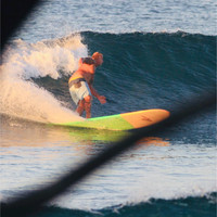 David Grierson