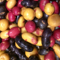 Don Northcott P.Ag.