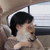 万文婧