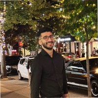 Ali Arabnejad