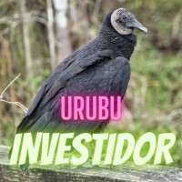 Urubu Investidor