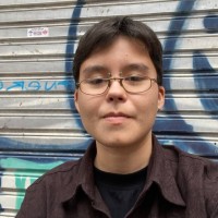 Levi Toledo