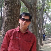 Partha Pandey