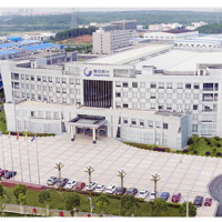 Ting Feng (Cristina)