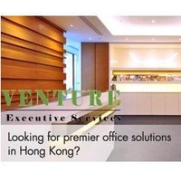 Venture Executive Service