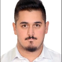 Hamza Koylu