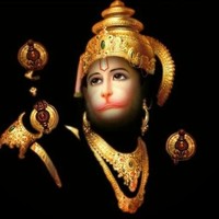 Naresh Rathod