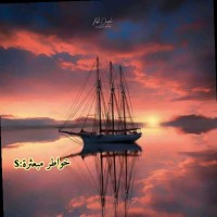 نور محمد احمد