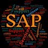 Subramanyam Sapfico