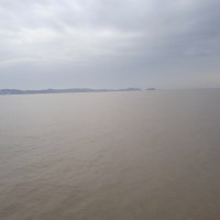 郑金波