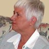 Maggie Perkins