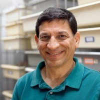 Roberto Pereira
