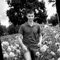 Sam Schrauwen