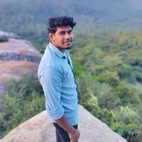 Dinesh P