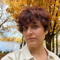 Paniz Dabouei