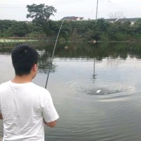 杨昌齐