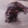 Ruby Godinez
