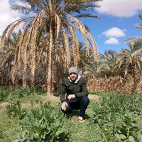 Anis Khelif