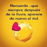 Roselyn Clavell