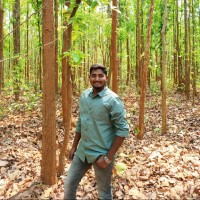 Golak Patro